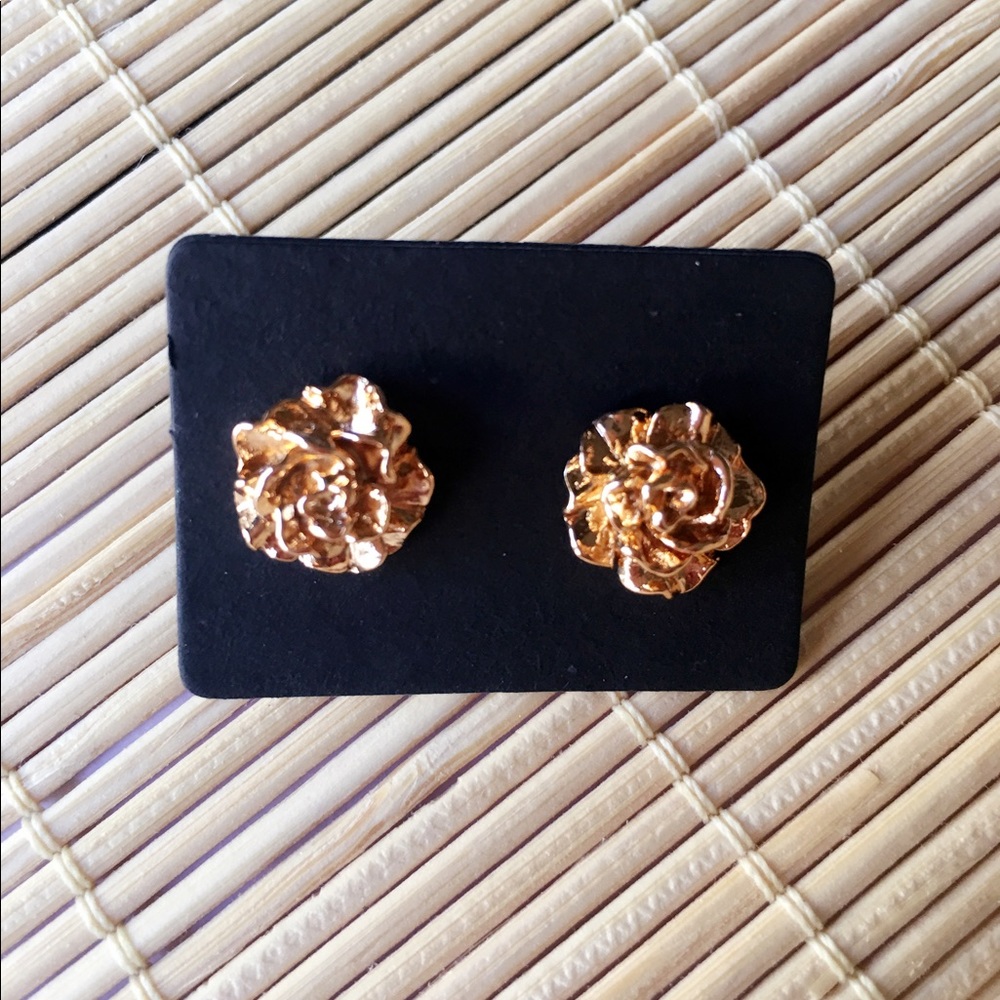 Brand New Gold Plated Earrings